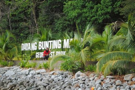 Dayang bunting means pregnant maiden, so the lake is also sometimes known as pregnant maiden lake. tasik dayang bunting