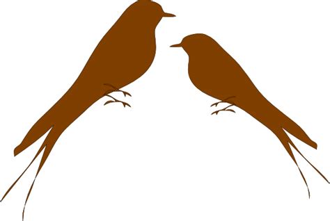 Birds On A Branch Brown Clip Art At Vector Clip Art Online