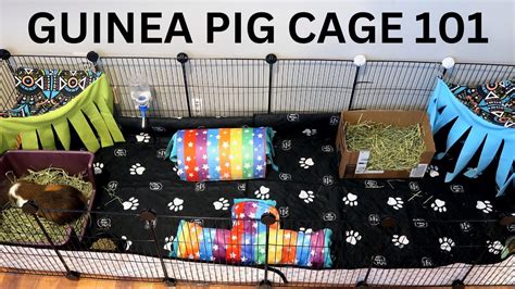 Our Guinea Pig Cage Setup Cleaning Routine YouTube
