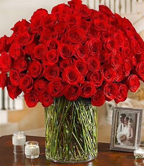 Allens Premium Roses With Stargazers 100 Red Roses Red Roses