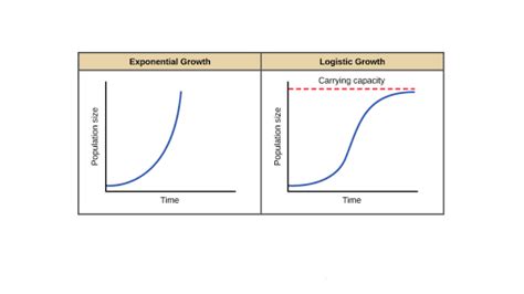 Exponential Growth And Logistic Growth Article Khan Academy