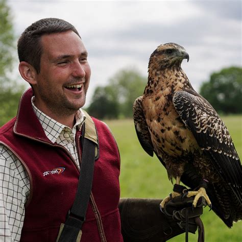 Kent Falconry Centre Joes Bows Faversham 2023 Lo Que Se Debe