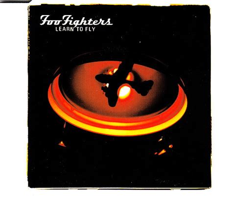 Foo Fighters Learn To Fly Vinyl Records Lp Cd On Cdandlp
