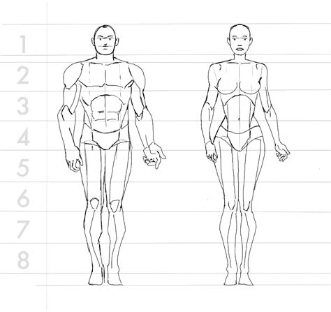 Anime Male Body Template Poses Male Base 1 Drawing Anime Bodies Human