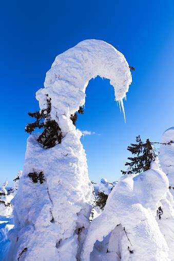 Beautiful Winter Wonderland During The Sunny Day Stock Photo Download