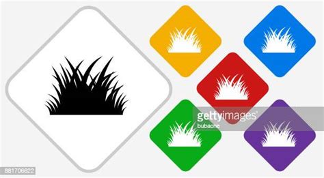 Grass Patch Vector Photos And Premium High Res Pictures Getty Images