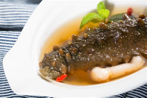 What Is Sea Cucumber