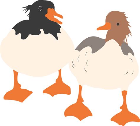 Ducks Clipart Free Download Transparent Png Creazilla