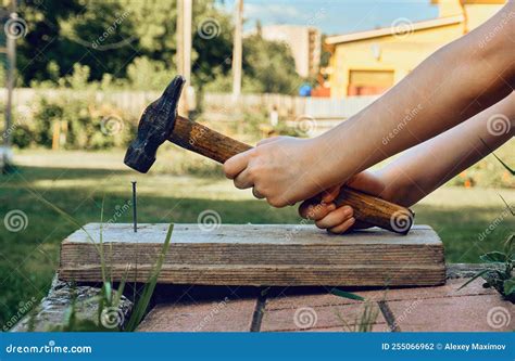 Carpenter Hammer Stuck Into A Wooden Beam Stock Photo Cartoondealer