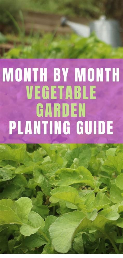 Month By Month Vegetable Planting Guide For Gardeners Vegetable