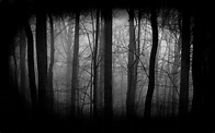Black Dark Forest Wallpapers - Top Free Black Dark Forest Backgrounds ...