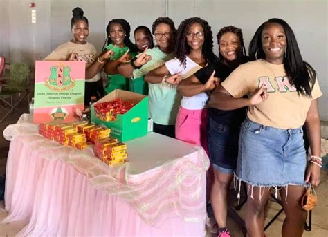 The Delta Omicron Omega Chapter Of Aka Supported The Annual Metro