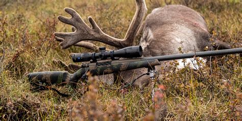 The Best Lightweight Hunting Rifles Swedbanknl