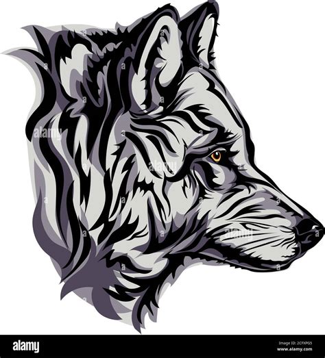 Wolf Portrait White Black Color Vector Graphics Drawing Picture