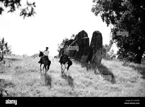 Horseback Riders At Sunset Stock Photo Alamy