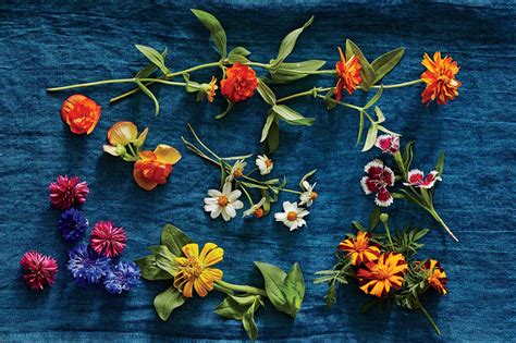 Check spelling or type a new query. 5 Edible Flowers to Know About This Spring | Southern Living