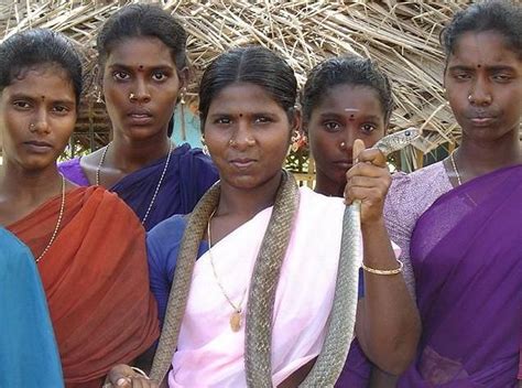 The Irulas Are A South Indian Tribe Who Have Traditionally Based Their