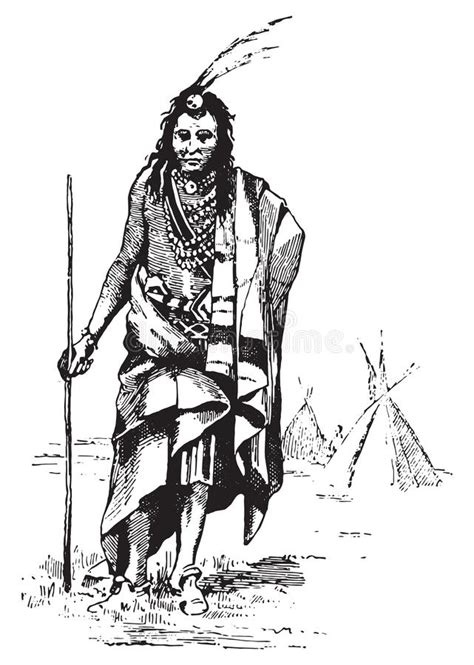 Engraving Red Indian Stock Illustrations 181 Engraving Red Indian