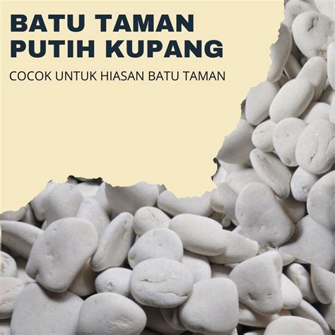 Jual Batu Alam Putih Koral Putih 1kg Batu Taman Hiasan Tanaman Pot