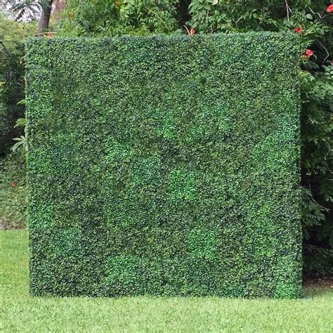 Green Boxwood Backdrop Panels 24 Panels Create An 8x8ft Wall Etsy