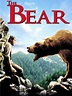 The Bear - Movie Reviews