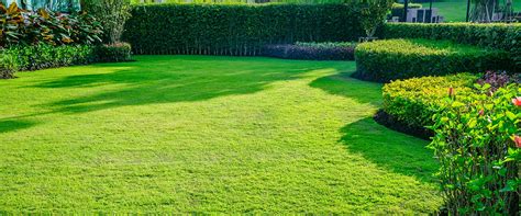 Alpharetta Lawn Care Lawn Mowing Service Lawn Maintenance Landscaper