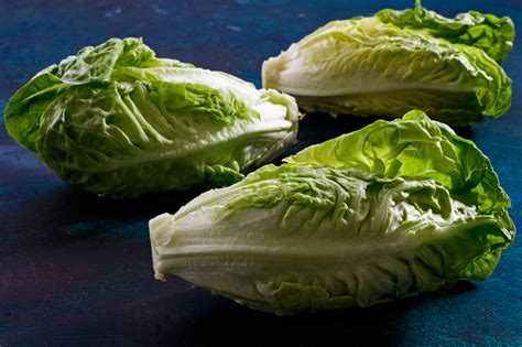 Cdc Romaine Lettuce E Coli Outbreak Over Medical Bag