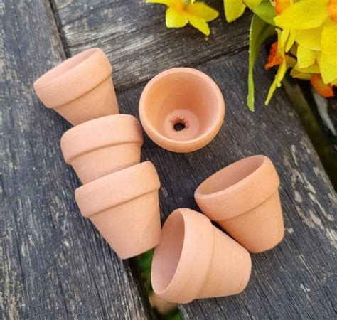 Set Of 6 Tiny Terracotta Flower Pots For Crafts Scandinavian Boutique