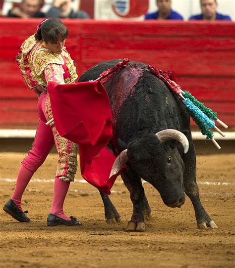 Female Bullfighter Gored In Face As Animal Tramples Over Her While On