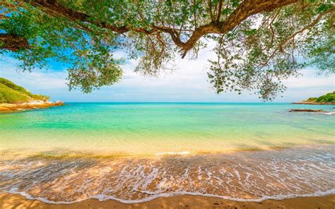 Tropical Sand Beach Lagoon Coastline Sea Waves Turquoise Water Trees