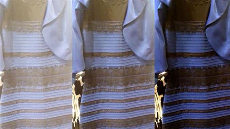 Gold and white or black and blue? The Gold and White/Black and Blue Dress and Other Stupid ...