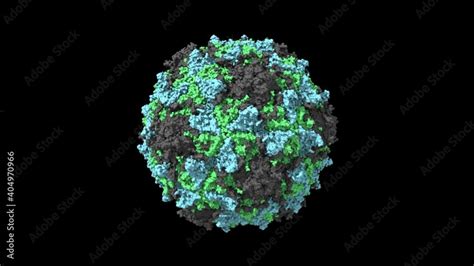 CryoEM Structure Of Poliovirus Receptor Bound To Poliovirus Type