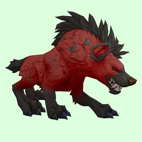 Red Hyena Pet Look Petopia Hunter Pets In The World Of Warcraft