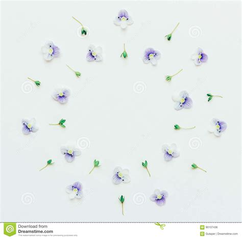 Composizione floreale adatta ad una laurea. Struttura Rotonda Floreale Di Piccoli Fiori Blu Su Un Fondo Bianco Con Spazio Per Testo ...