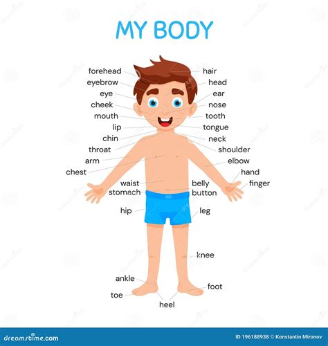 My Body Poster For Kids