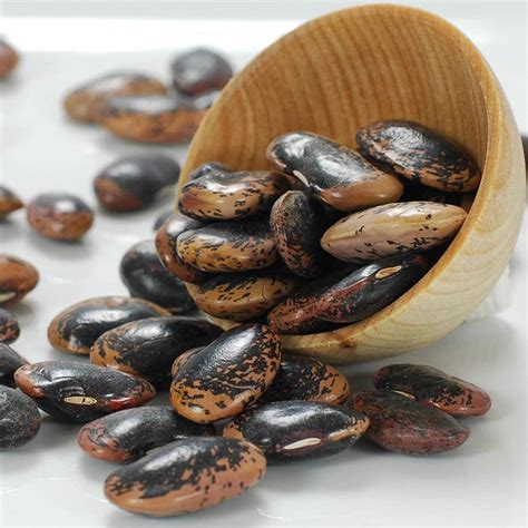 Scarlet Runner Beans Dry By Gourmet Imports From China Buy