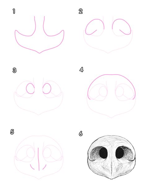 Https://techalive.net/draw/how To Draw A Bear Nose