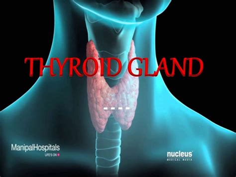 Surgery Thyroid