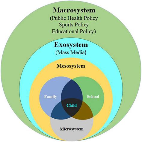 Bronfenbrenners Ecological Theory Bronfenbrenner S Ecological Systems Theory