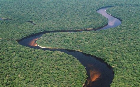 Foresta Del Bacino Del Fiume Congo Protectaweb