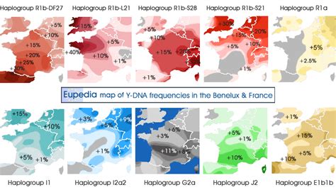 Genetic History And Dna Ancestry Project Of The Benelux And France Eupedia