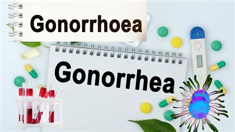 Gonorrhea Disease And Best Treatment Herbtib Blog