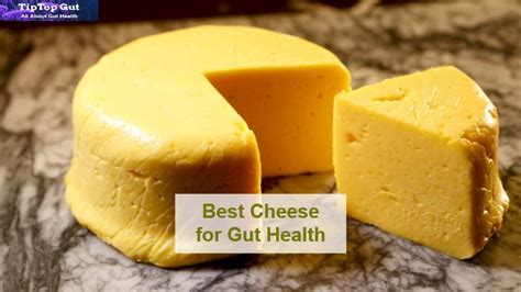 Best Cheese For Gut Health 11 Healthiest Cheeses For Gut Health