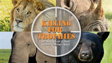 Pros And Cons Of Trophy Hunting Camochic Prlog