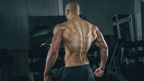 The Complete Guide For Building A Bigger Back Muscle And Fitness