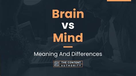 Brain Vs Mind Meaning And Differences
