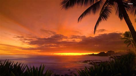 Sunset Beach Hawaii Sunset On Waikiki Beach Honolulu Hawaii Sunset On Waiki Flickr