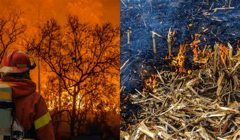 High Temperatures Increasing Risks For Drought And Fires Fire Damage
