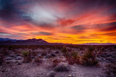 Desert Sunset Nevada California Desert Sunset Nevada California Sunset