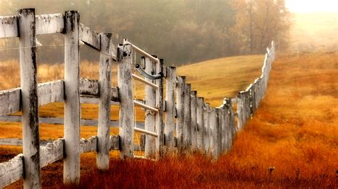 Beautiful Wood Fence Wallpaper 1920x1080 33256